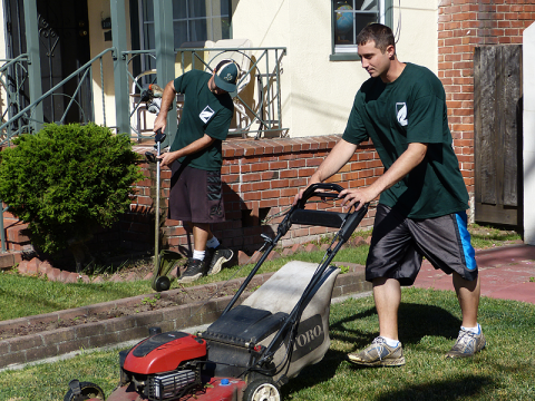 Alameda Lawn Care and landscaping